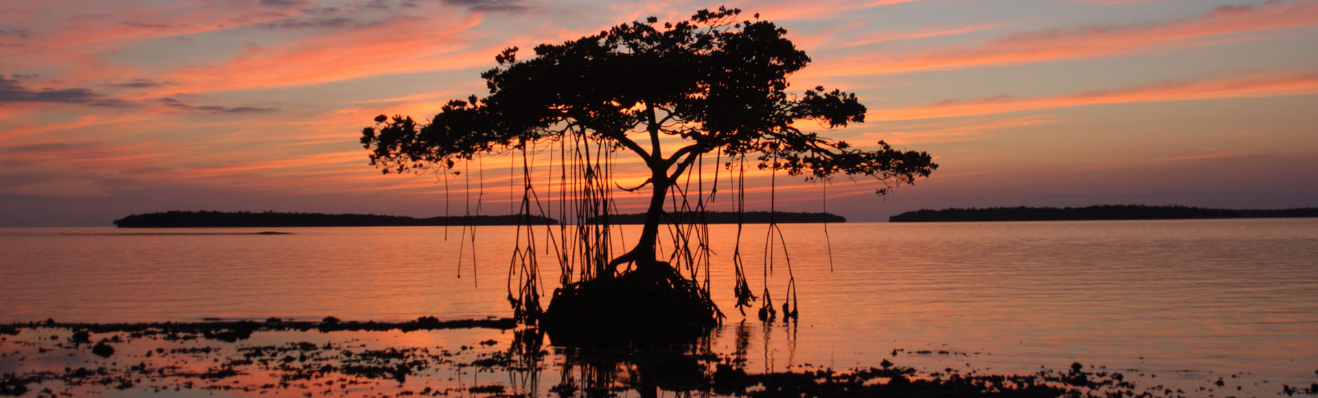 Marco Island Boat Tours