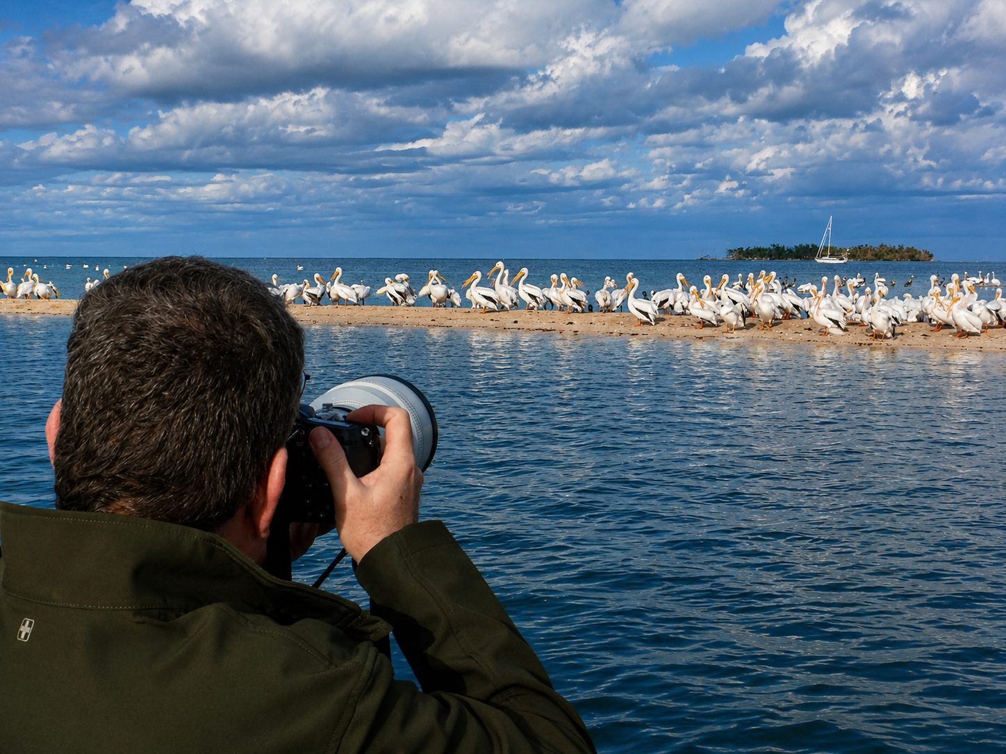 Wildlife Photography Tours